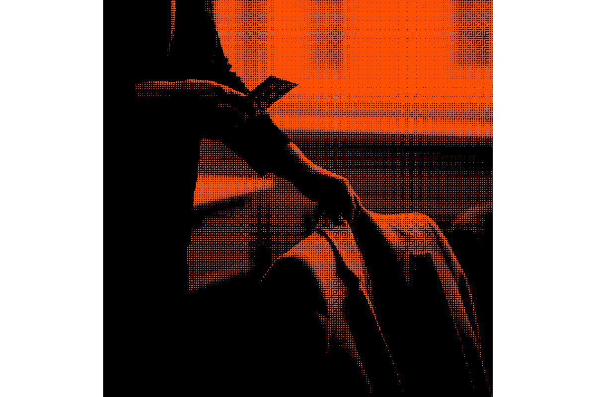 Hassle-Free Ticket Prevention